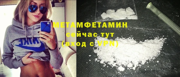 прущие грибы Лабытнанги