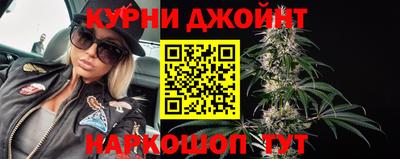 сатива Бузулук