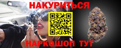 сатива Бузулук
