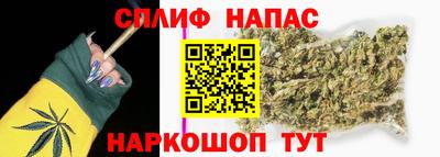 сатива Бузулук