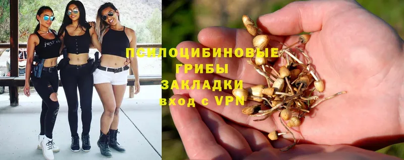 мега сайт  Железноводск  Галлюциногенные грибы GOLDEN TEACHER  купить наркотик 