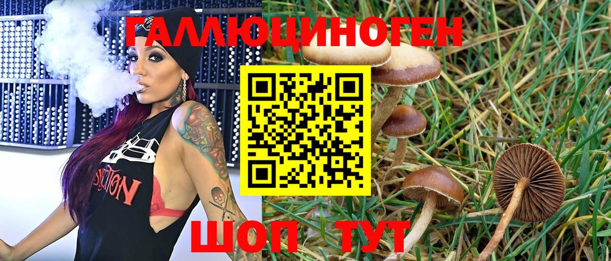 Псилоцибиновые грибы Magic Shrooms Железноводск