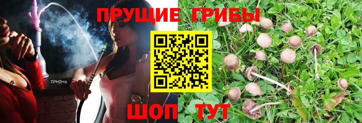 Железноводск  Галлюциногенные грибы мухоморы  Псилоцибиновые грибы прущие грибы  Вход с VPN 