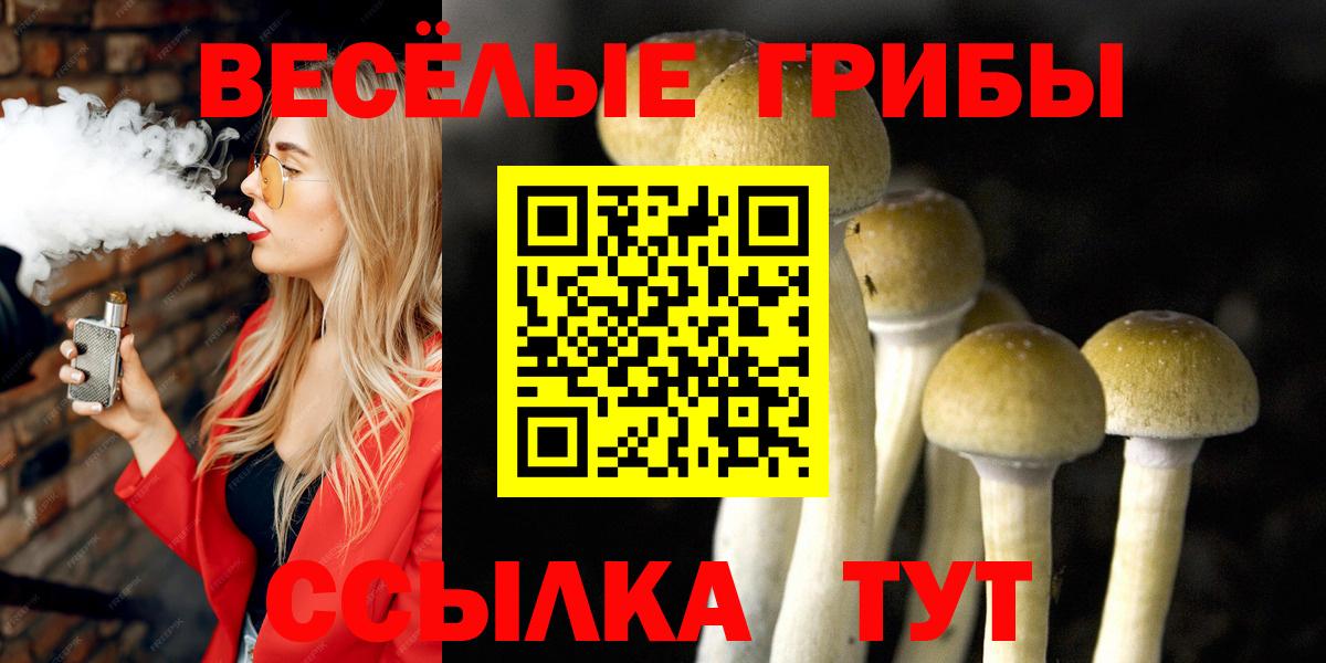 Галлюциногенные грибы мухоморы  Железноводск 